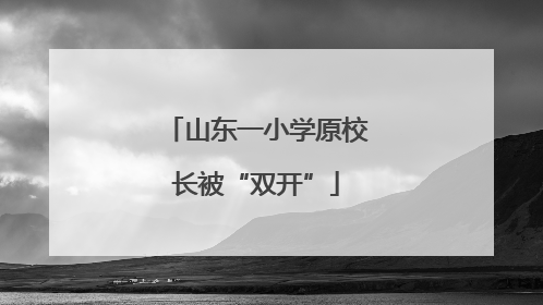 山东一小学原校长被“双开”