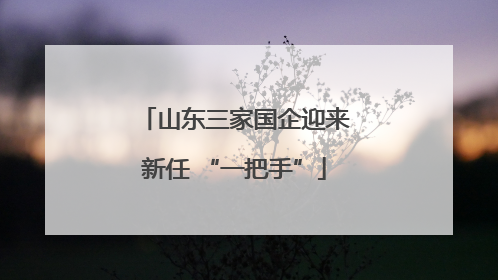 山东三家国企迎来新任 “一把手”