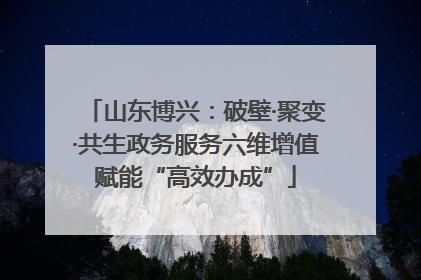 山东博兴：破壁·聚变·共生政务服务六维增值赋能“高效办成”