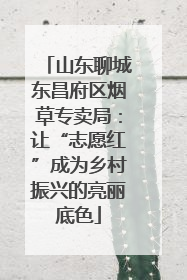 山东聊城东昌府区烟草专卖局：让“志愿红”成为乡村振兴的亮丽底色