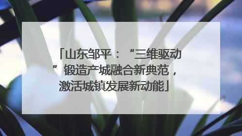 山东邹平：“三维驱动”锻造产城融合新典范，激活城镇发展新动能