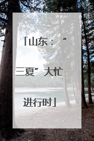 山东：“三夏”大忙进行时