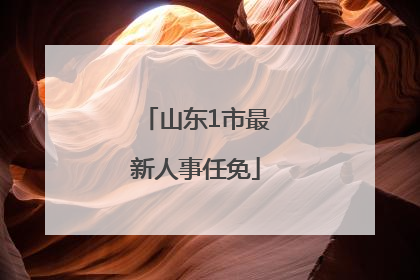 山东1市最新人事任免