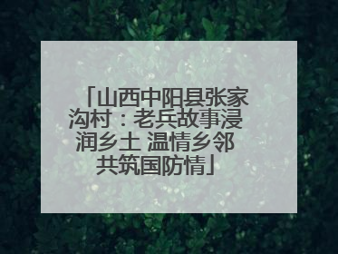 山西中阳县张家沟村：老兵故事浸润乡土 温情乡邻共筑国防情