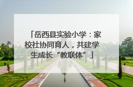岳西县实验小学：家校社协同育人，共建学生成长“教联体”