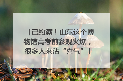 已约满！山东这个博物馆高考前参观火爆，很多人来沾“喜气”