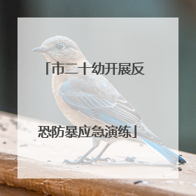 市二十幼开展反恐防暴应急演练