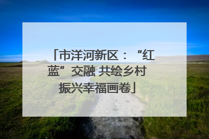 市洋河新区：“红蓝”交融 共绘乡村振兴幸福画卷