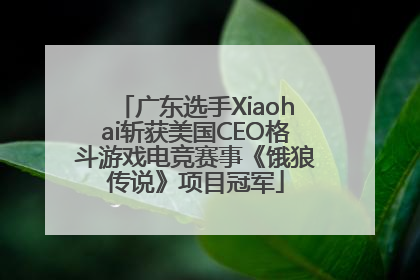 广东选手Xiaohai斩获美国CEO格斗游戏电竞赛事《饿狼传说》项目冠军