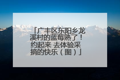 广丰区东阳乡龙溪村的蓝莓熟了！约起来 去体验采摘的快乐（图）