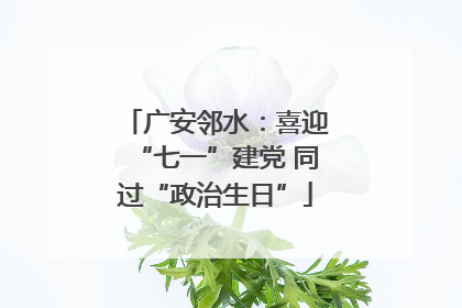 广安邻水：喜迎“七一”建党 同过“政治生日”