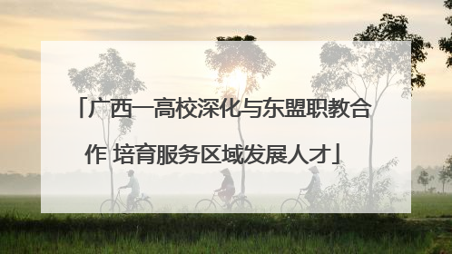 广西一高校深化与东盟职教合作 培育服务区域发展人才