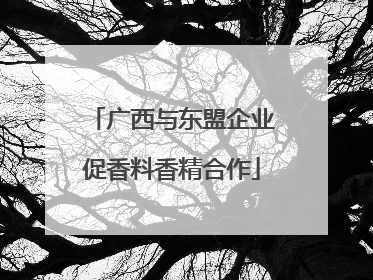 广西与东盟企业促香料香精合作