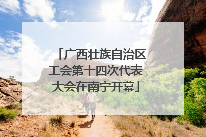 广西壮族自治区工会第十四次代表大会在南宁开幕