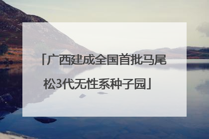 广西建成全国首批马尾松3代无性系种子园