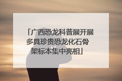 广西恐龙科普展开展 多具珍贵恐龙化石骨架标本集中亮相