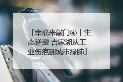 幸福来敲门④丨生态逆袭 吉家湖从工业伤疤到城市绿肺