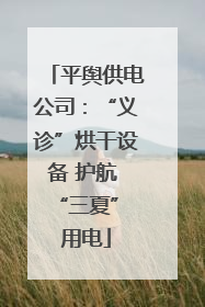 平舆供电公司：“义诊”烘干设备 护航 “三夏” 用电