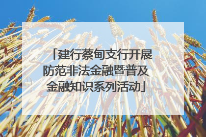 建行蔡甸支行开展防范非法金融暨普及金融知识系列活动