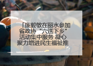廉毅敏在丽水参加省政协“六送下乡”活动集中服务 凝心聚力增进民生福祉推进共同富裕