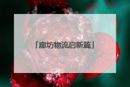 廊坊物流启新篇