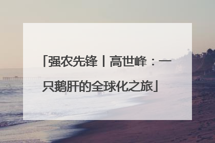 强农先锋丨高世峰：一只鹅肝的全球化之旅