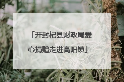 开封杞县财政局爱心捐赠走进高阳镇