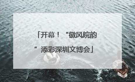 开幕！“徽风皖韵”添彩深圳文博会