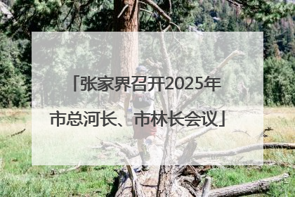 张家界召开2025年市总河长、市林长会议