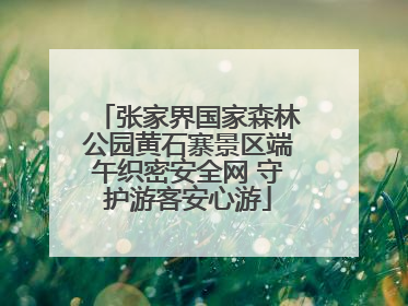 张家界国家森林公园黄石寨景区端午织密安全网 守护游客安心游