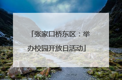张家口桥东区：举办校园开放日活动