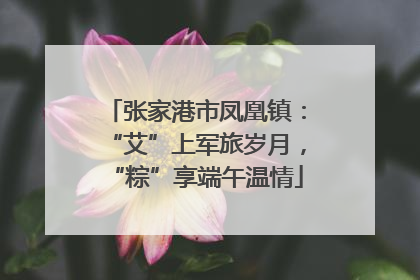 张家港市凤凰镇：“艾”上军旅岁月，“粽”享端午温情