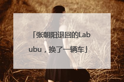 张朝阳退回的Labubu，换了一辆车