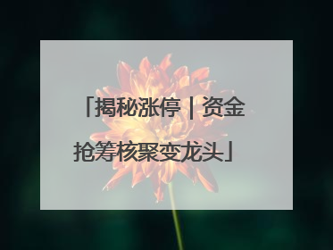 揭秘涨停｜资金抢筹核聚变龙头