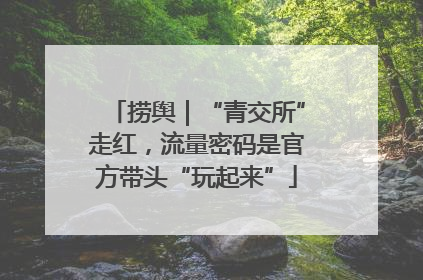 捞舆｜“青交所”走红，流量密码是官方带头“玩起来”