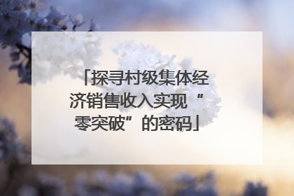 探寻村级集体经济销售收入实现“零突破”的密码