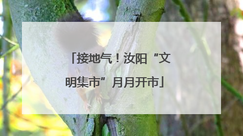 接地气！汝阳“文明集市”月月开市
