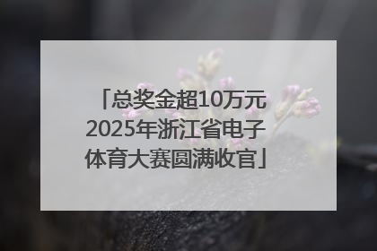 总奖金超10万元 2025年浙江省电子体育大赛圆满收官