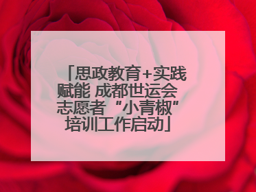 思政教育+实践赋能 成都世运会志愿者“小青椒”培训工作启动