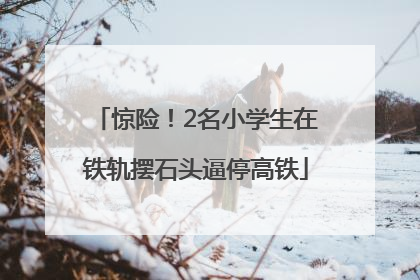 惊险！2名小学生在铁轨摆石头逼停高铁