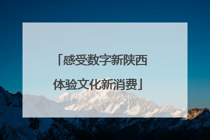 感受数字新陕西 体验文化新消费