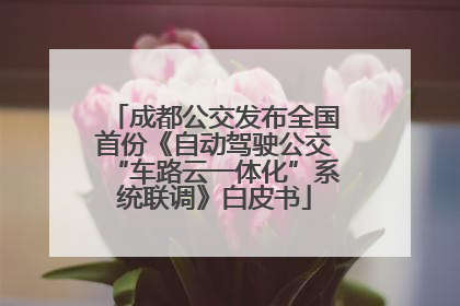 成都公交发布全国首份《自动驾驶公交“车路云一体化”系统联调》白皮书