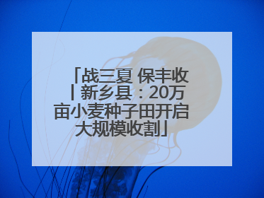 战三夏 保丰收丨新乡县：20万亩小麦种子田开启大规模收割