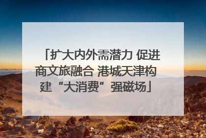 扩大内外需潜力 促进商文旅融合 港城天津构建“大消费”强磁场
