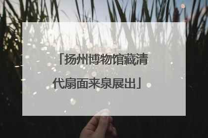 扬州博物馆藏清代扇面来泉展出