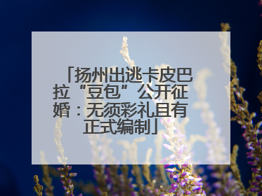扬州出逃卡皮巴拉“豆包”公开征婚：无须彩礼且有正式编制
