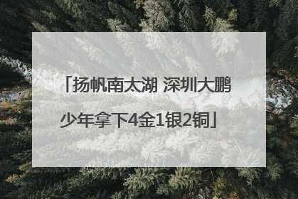 扬帆南太湖 深圳大鹏少年拿下4金1银2铜