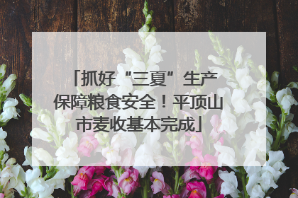 抓好“三夏”生产 保障粮食安全！平顶山市麦收基本完成