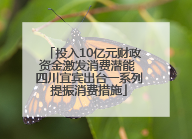 投入10亿元财政资金激发消费潜能 四川宜宾出台一系列提振消费措施