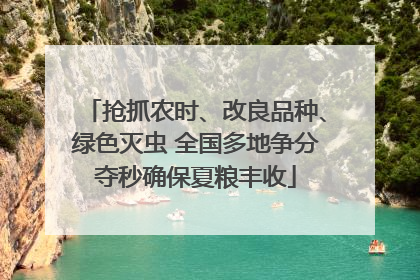 抢抓农时、改良品种、绿色灭虫 全国多地争分夺秒确保夏粮丰收